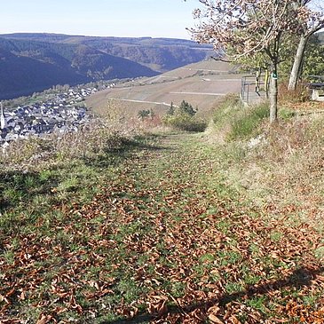 Blick auf Enkirch vom Rastplatz Rottenblick