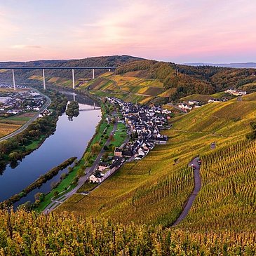 Weineberge im Herbst