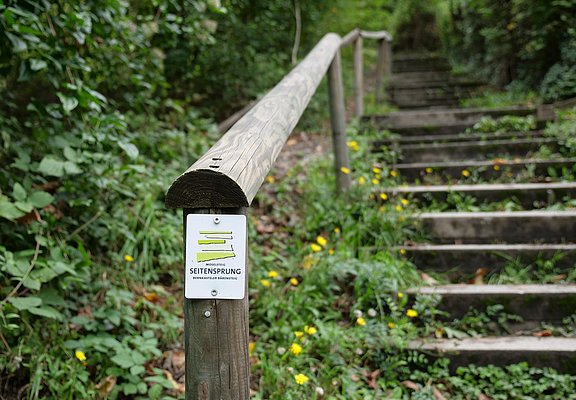 Bärensteig zur Bresgenruh