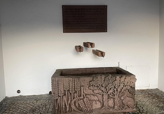 Barresbornerquelle nah