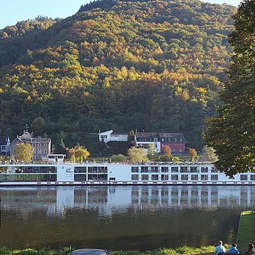 Ihr Blick zur Mosel