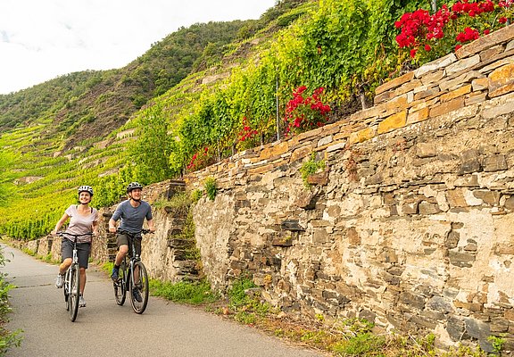 Mosel-Radweg bei Winningen