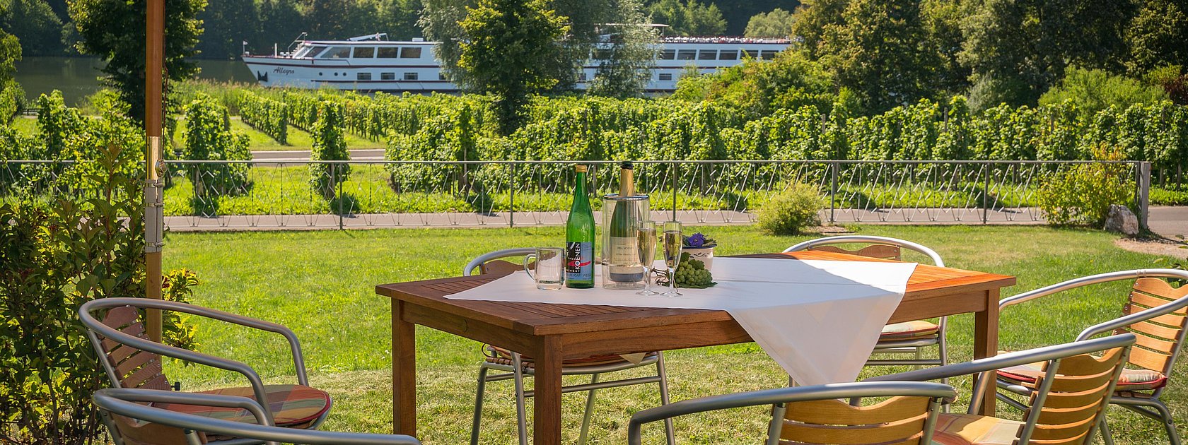 Weingut Paul Koenen - Ausblick auf die Mosel