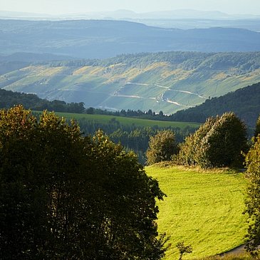 Radfahren im Urlaub mit Moselpanorama