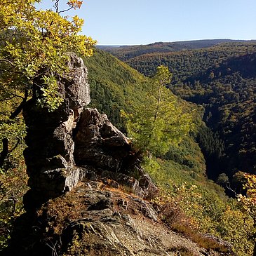Hinterbachtal