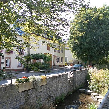 Der Frohnbach in Burgen
