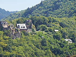 Blick auf Schloss Veldenz