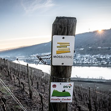 Moselsteigbeschilderung bei Winningen