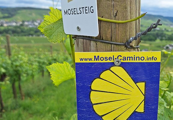 Wandervergnügen direkt vor der Haustür