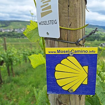 Wandervergnügen direkt vor der Haustür