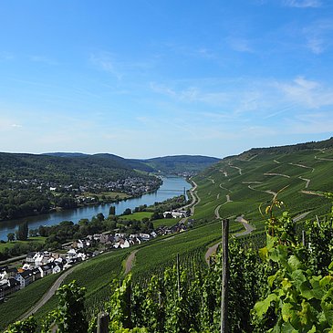 Graacher Wienberge