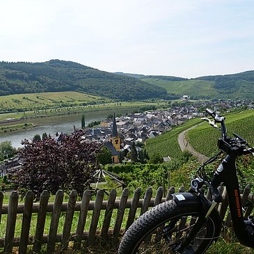 Oberhalb des Sortengartens in Zeltingen-Rachtig