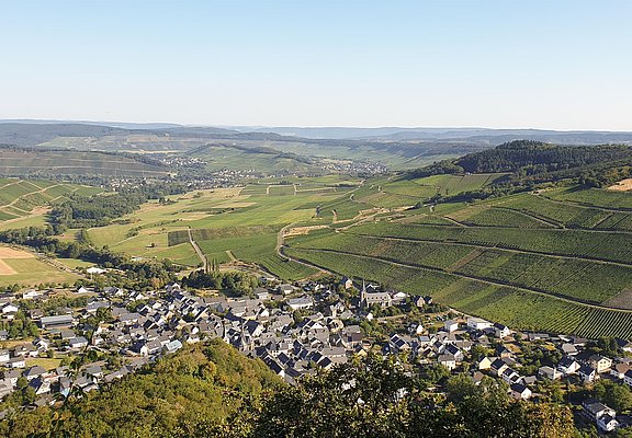 Ortschaft Veldenz