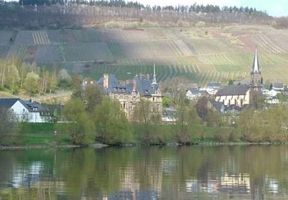 Weinort Lieser an der Mosel