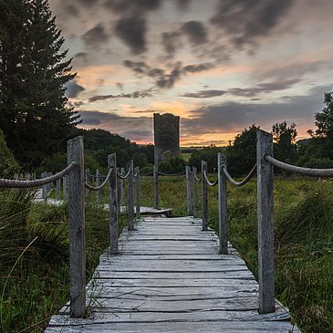 Wanderweg bei der Ruine Baldenau