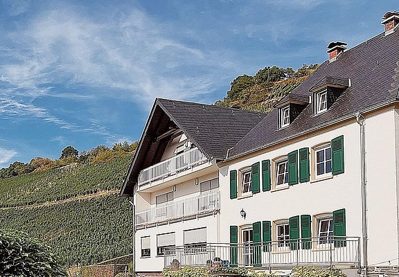 Weingut Botzet