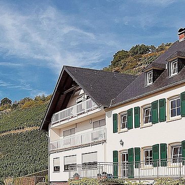 Weingut Botzet