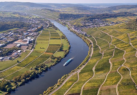 Weinlandschaft bei Lieser
