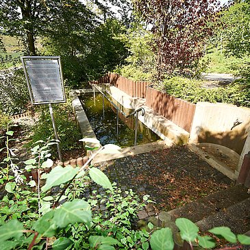 Wassertretbecken an der Pastorenkehre