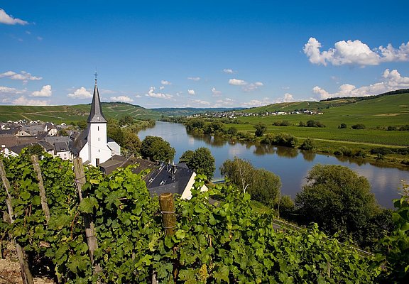 Kesten an der Mosel
