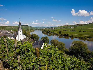 Kesten an der Mosel