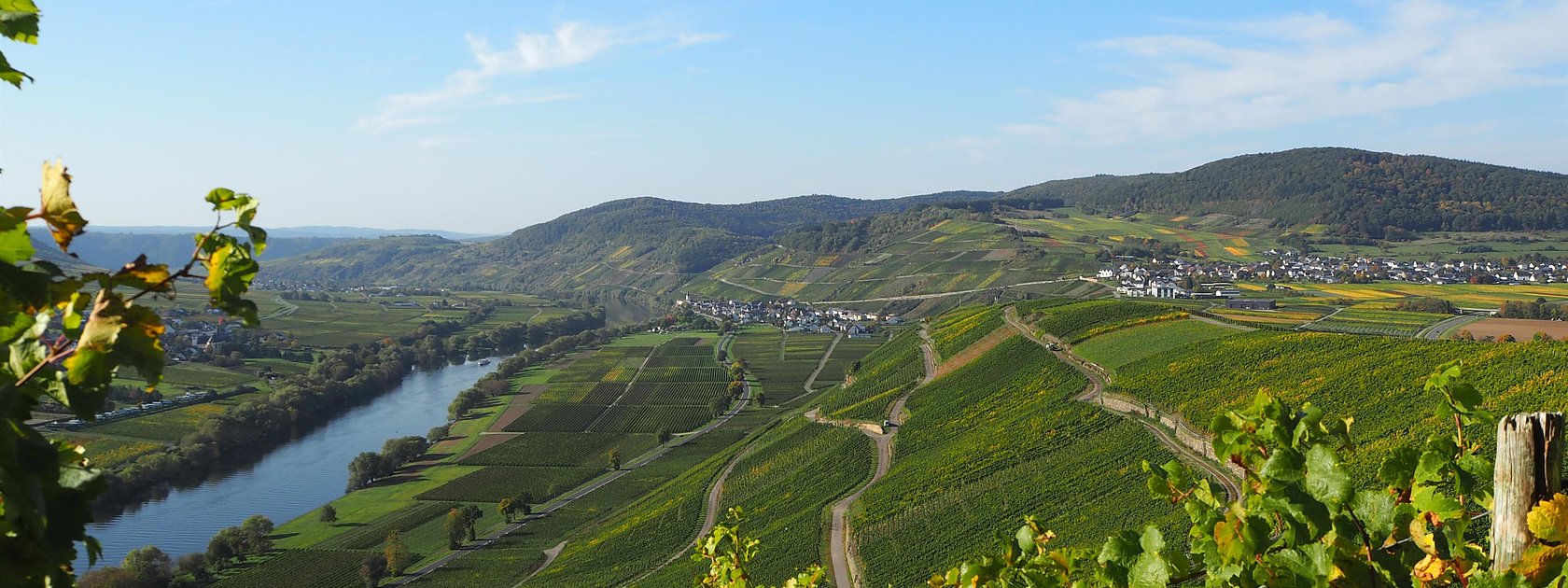 Weinberge in Kesten