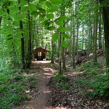 Kleine Hütte im Wald