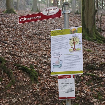 Infotafel über den Baum