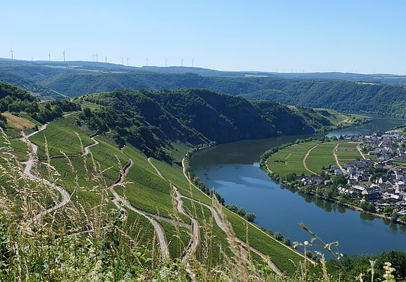 Aussblick von Moselpanoramastraße Piesport