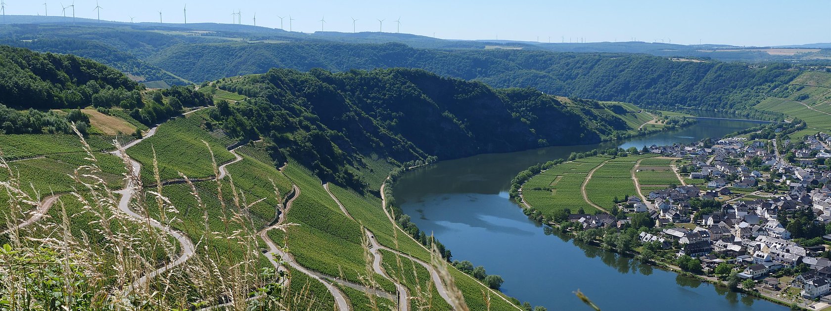 Aussblick von Moselpanoramastraße Piesport