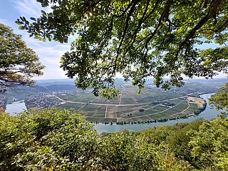 Piesport_Großer_Moselblick