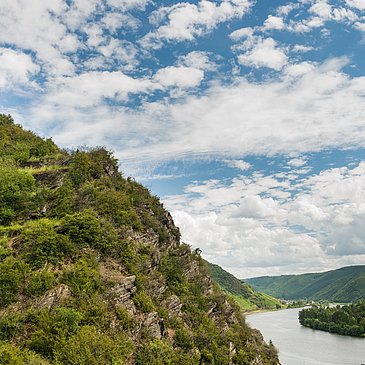 Weinbergspfad bei Karden