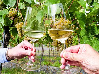 Wein an der Mosel genießen