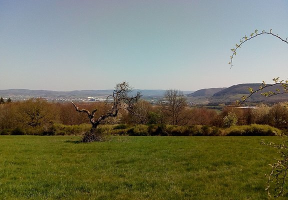 Aussicht zur Wittlicher Senke