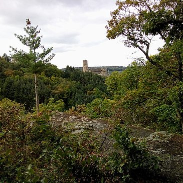 Aussicht zur Burg Landshut