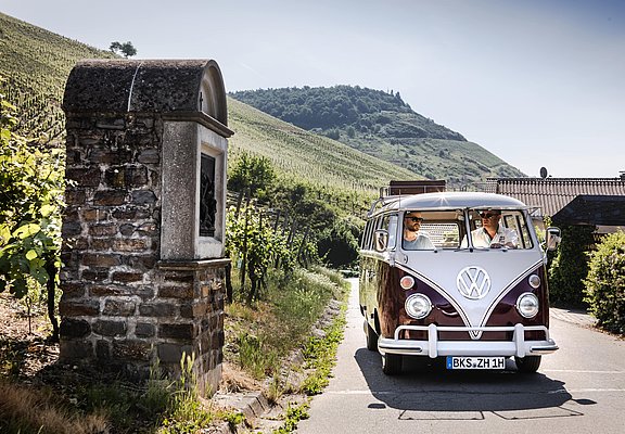 Bulli Tour durch die Weinberge