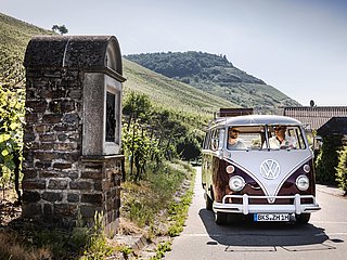 Bulli Tour durch die Weinberge