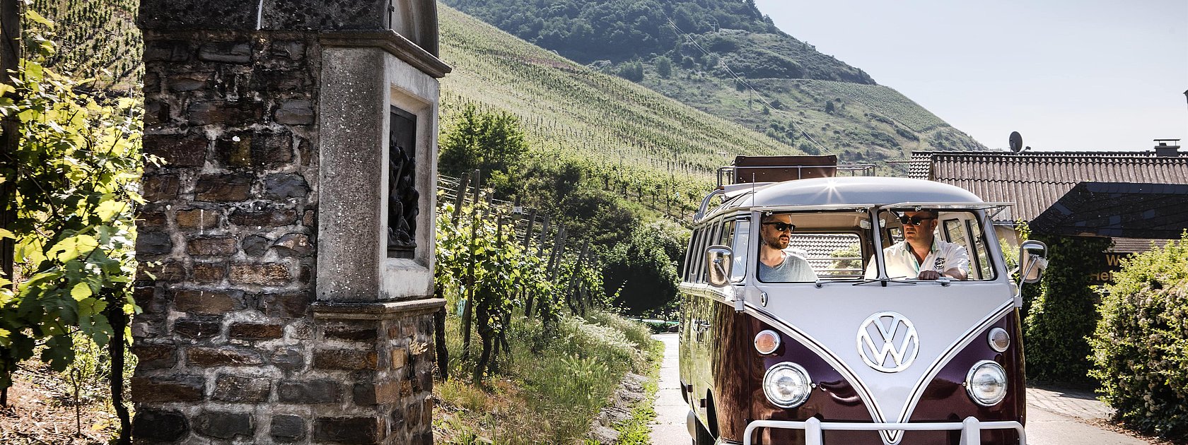 Bulli Tour durch die Weinberge