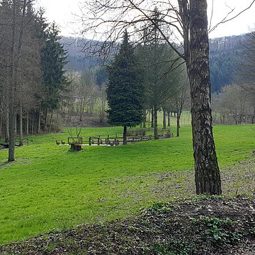 Waldabschnitt in der Nähe des Wassertretbeckens