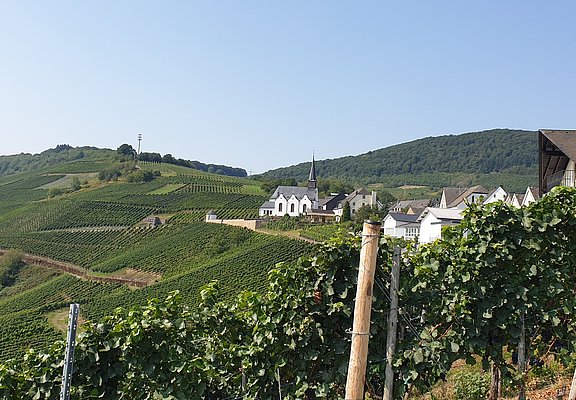 Blick vom Ortsrand in Monzel auf die Kirche