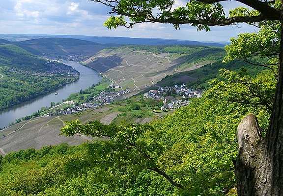 Blick von Maria Zill