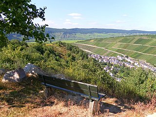 Rastplatz oberhalb Dhron