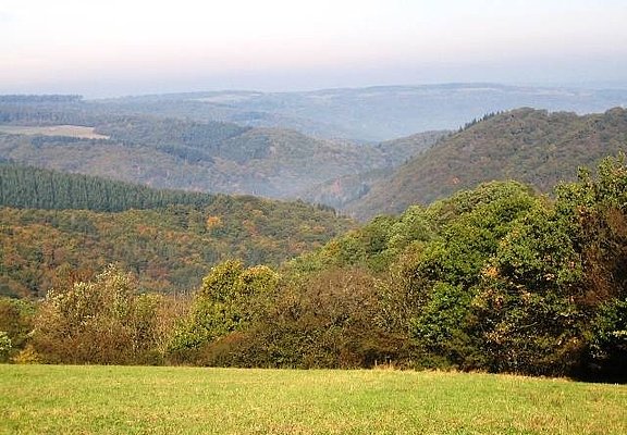 Blick ins Moseltal vor Pilmeroth