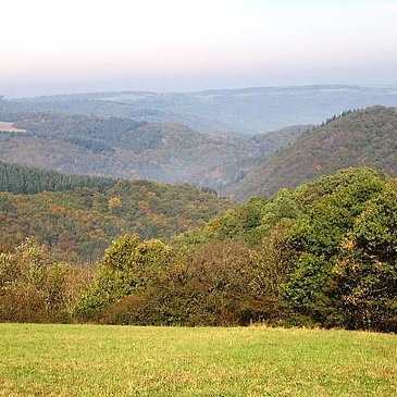 Blick ins Moseltal vor Pilmeroth