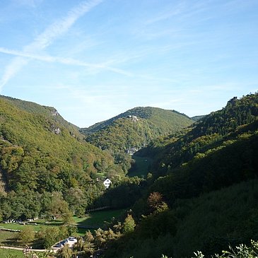 Blick ins Veldenzer Bachtal mit Schloss Veldenz