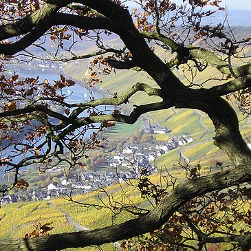 Ausblick Maria Zill