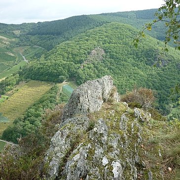Blick über das Veldenzer Bachtal zum Langen Hammer Felsen
