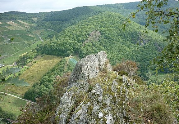 Blick über das Veldenzer Bachtal zum Langen Hammer Felsen