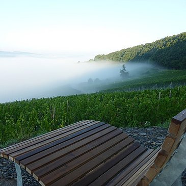Nebel im Moseltal an der Klüsserather Wetterstation