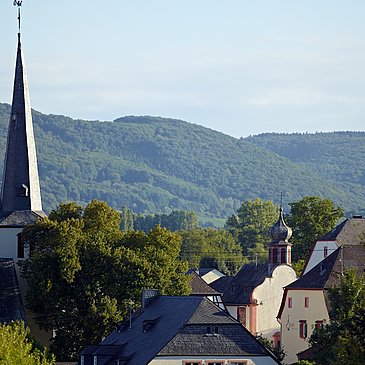 Mülheim an der Mosel